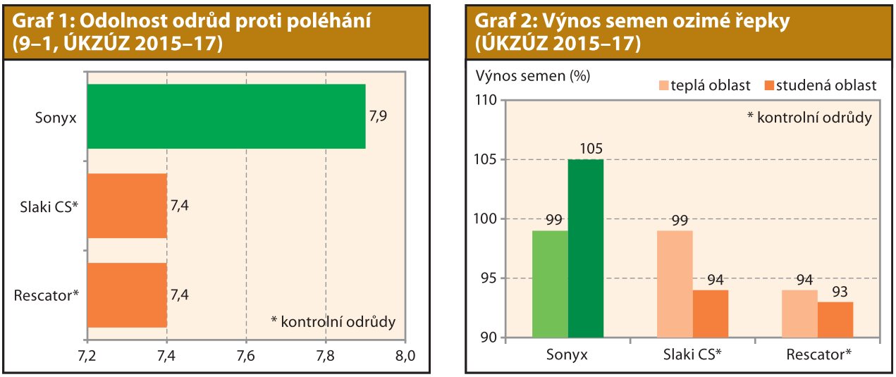 foto Řepka Ozimá Sonyx
